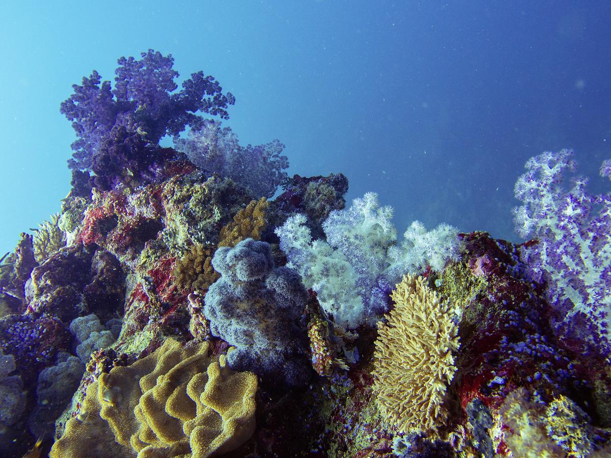 Oneta Resort Naqara المظهر الخارجي الصورة