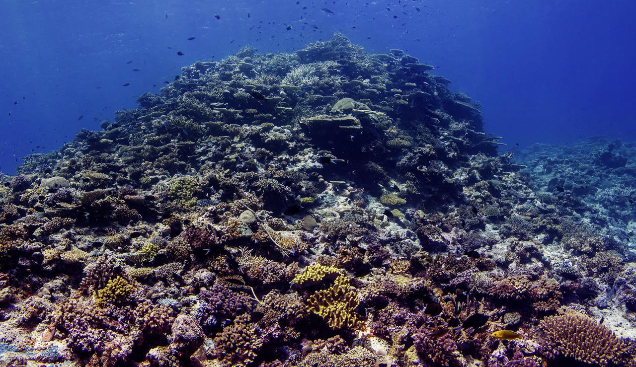 Oneta Resort Naqara المظهر الخارجي الصورة